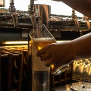 Many Flavors of Fermentation Series Part 1 - Fermentation Overview