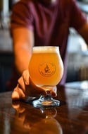 Many Flavors of Fermentation Series Part 1 - Fermentation Overview
