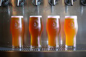 Many Flavors of Fermentation Series Part 3 - Interactions & Applications
